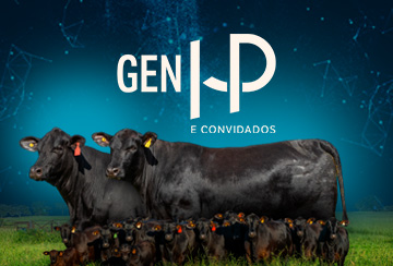 LEILÃO BRANGUS HP E CONVIDADOS